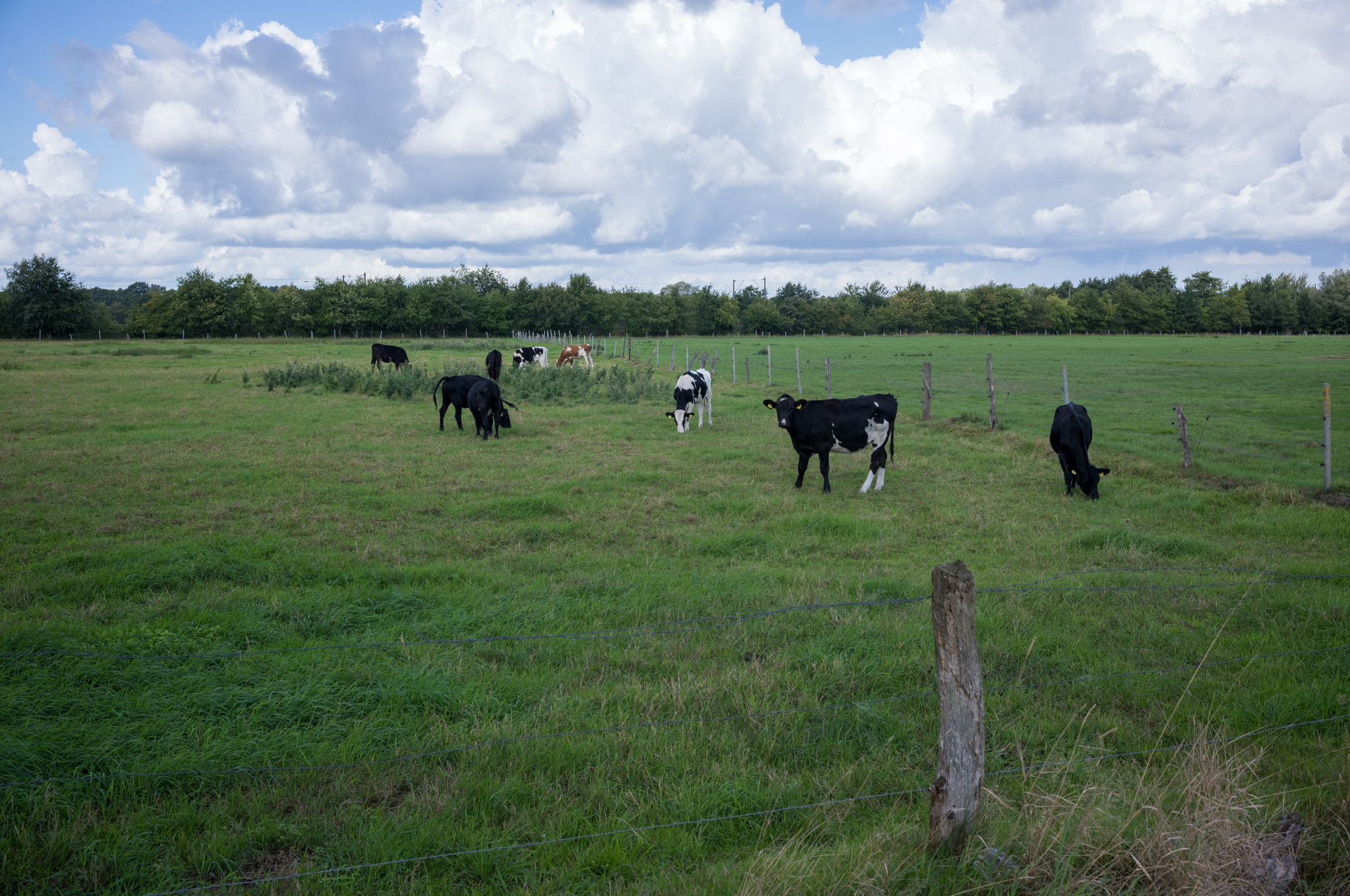 2026 00457